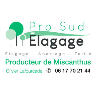 Pro Sud Élagage